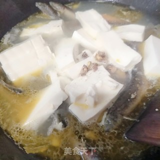Loach Stewed Tofu recipe