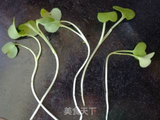 Radish Sprouts recipe