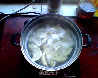 Fennel Meat Dumplings for Two, Boil or Make Pot Stickers recipe