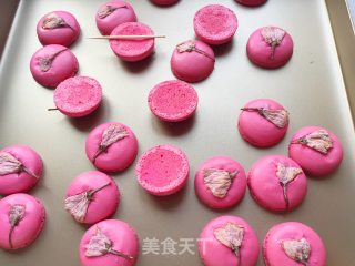 French Sakura Macaron recipe