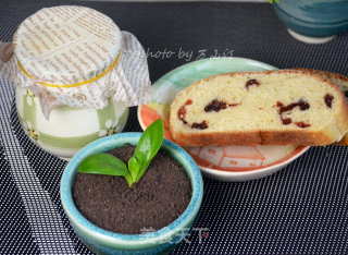 Porcelain Jar Yogurt & Potted Plants recipe