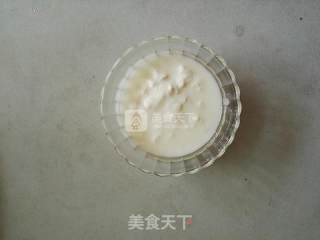 Mango Honey Yogurt recipe