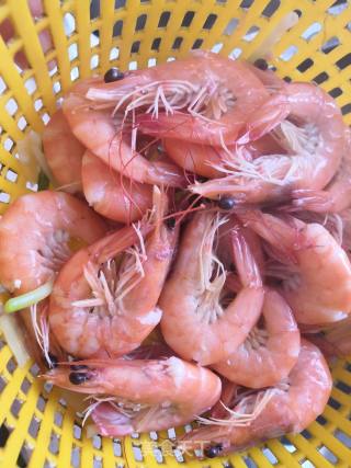 Boiled Base Tail Shrimp recipe