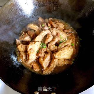 Braised Pork with Tofu in Oil recipe