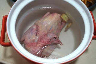 [beijing] Old Pigeon Cordyceps Soup recipe