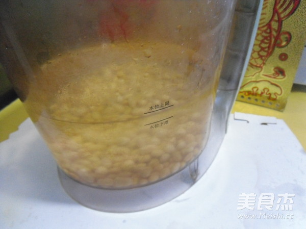 Cashew Soy Milk recipe