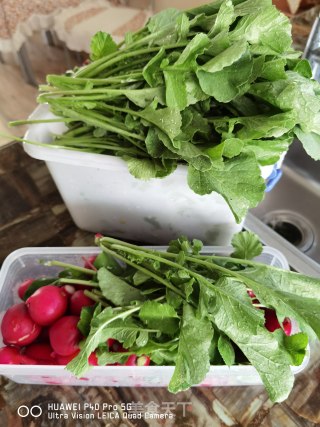 Dried Plums Made of Radish Sprouts recipe