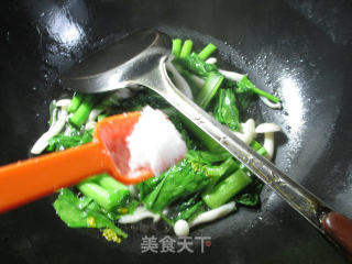 #trust of The Beauty# Stir-fried Rapeseed with White Jade Mushroom recipe