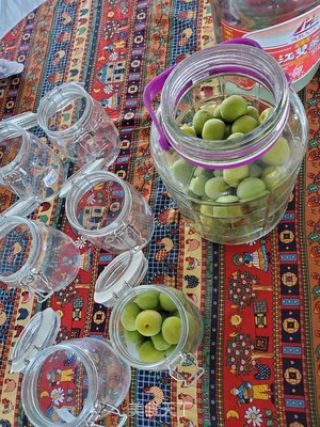 What Should I Pay Attention to When Making Green Plum Wine? recipe