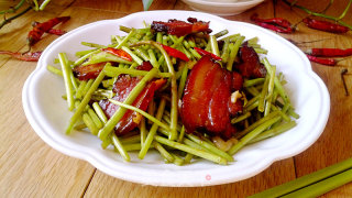 Stir-fried Bacon with Artemisia Quinoa recipe
