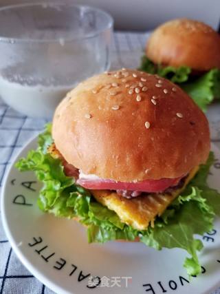 Beef Hamburger recipe