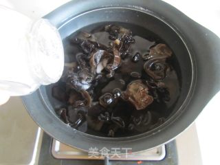 Nepeta Mixed Fungus recipe