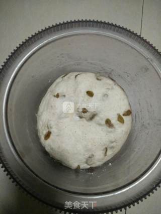 Whole Wheat Raisin Bread recipe