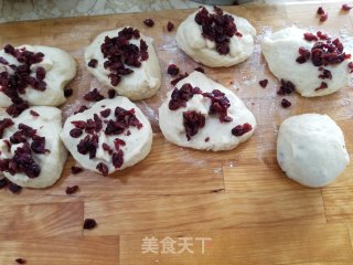 Yogurt Cranberry Bread recipe