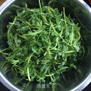 Garlic Alfalfa Sprouts recipe