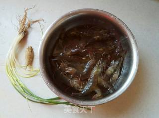 "home Cooking" Brine Shrimp recipe