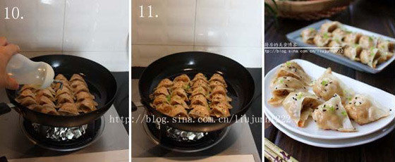 Pan Fried Wonton recipe