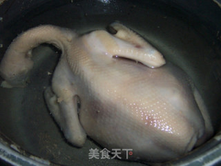 Chinese Wolfberry Chicken Pot recipe