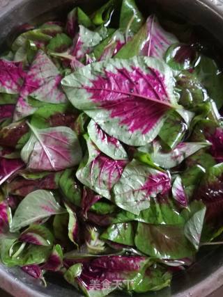 Amaranth with Garlic recipe
