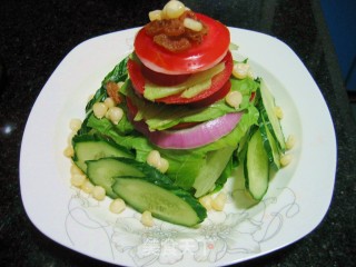 Garden Vegetable Salad recipe