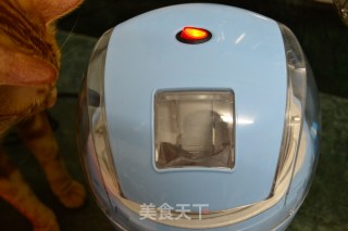 【blueberry Yogurt Ice Cream】 recipe