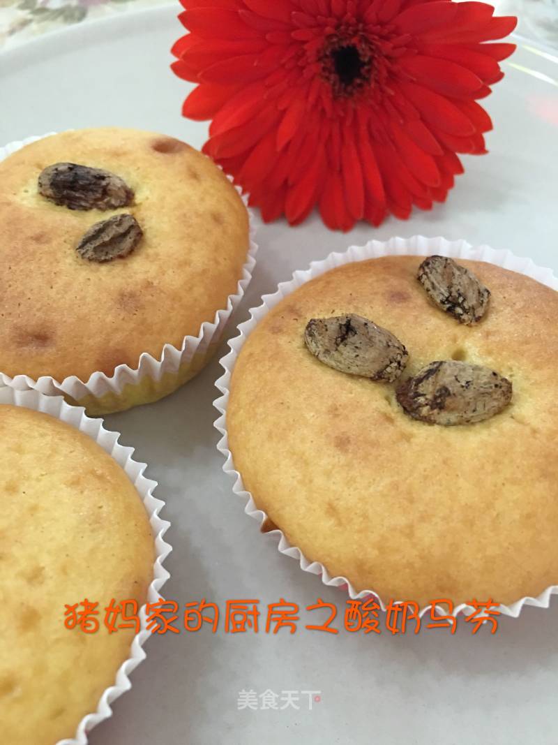 Yogurt Muffin recipe