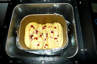 Melaleuca Dried Cranberry Toast recipe