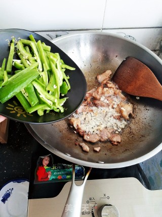 Stir-fried King Pleurotus recipe