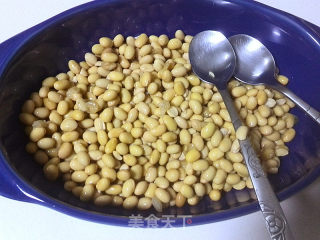 Homemade Soy Natto recipe
