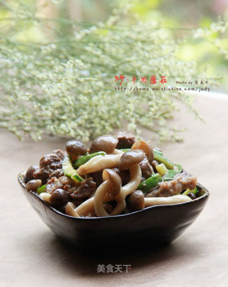 Stir-fried Beef with Fresh Mushrooms recipe