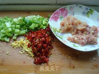 Stir-fried Rice Noodles with Chicken-xinjiang Taste recipe