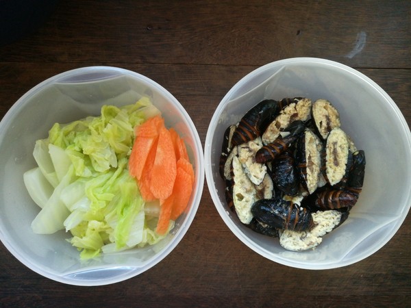 Dried Chinese Cabbage Cocoon Pupa recipe