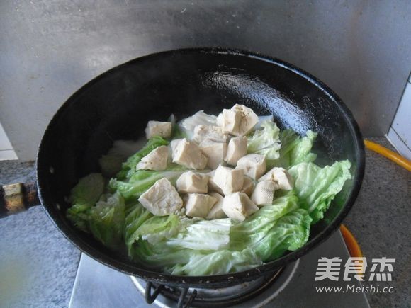 Braised Tofu with Cabbage Leaves recipe