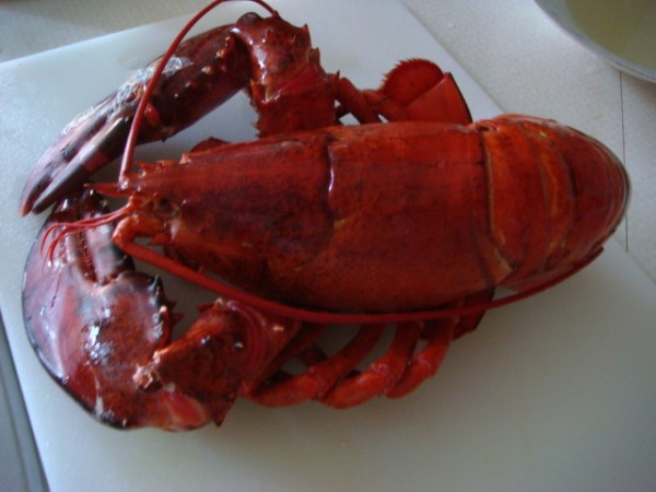 Mustard Lobster Meat recipe