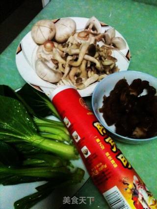 Beef Tendon Noodle Soup with Vegetables, Mushrooms and Mushrooms recipe