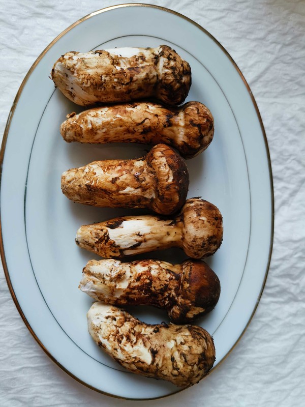 Matsutake Chicken Soup recipe