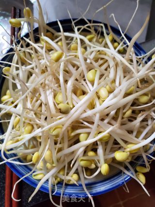 Stir-fried Soybean Sprouts recipe