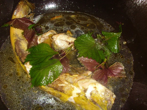 Stewed Catfish recipe
