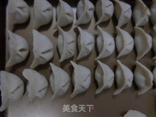 Pork Cabbage Dumplings recipe