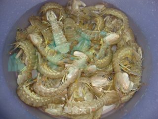 Celery Mantis Shrimp recipe