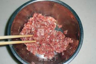 Toon Pot Stickers recipe