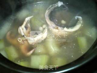 Winter Melon, Barley, Cuttlefish Soup recipe