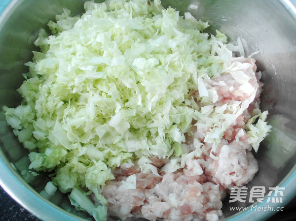 Pork Cabbage Dumplings recipe