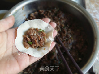 Horse Meat Dumplings recipe