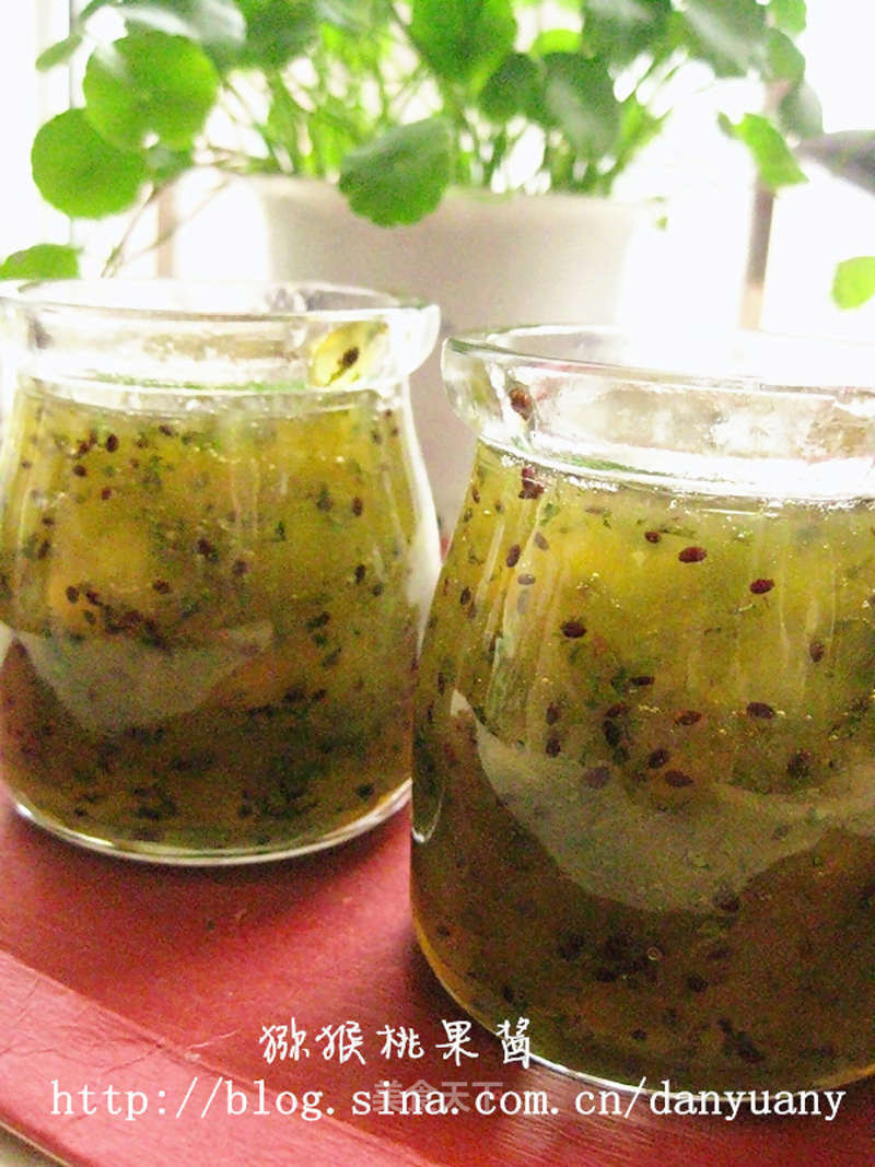 With A Refreshing Taste --- French Kiwi Jam recipe