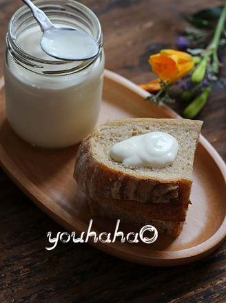 Lemon Yogurt Sauce recipe