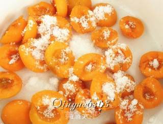 Apricot Jam recipe