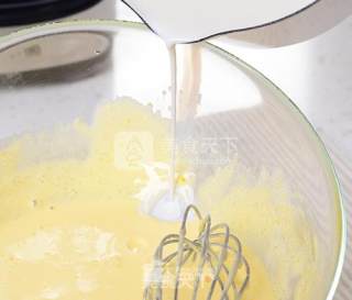 Cantaloupe Ice Cream-joyoung Food recipe