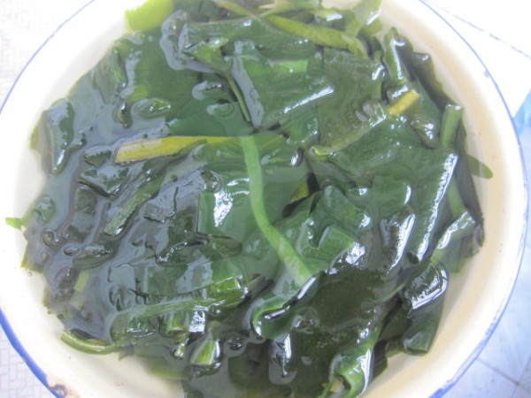 Tofu with Kelp recipe