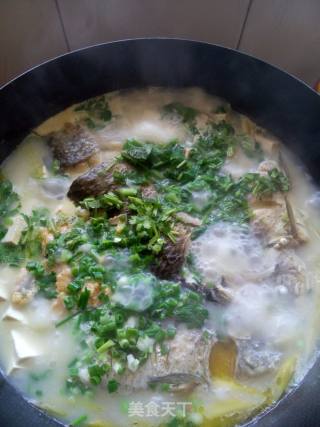 Simple Crucian Carp Stewed Tofu recipe
